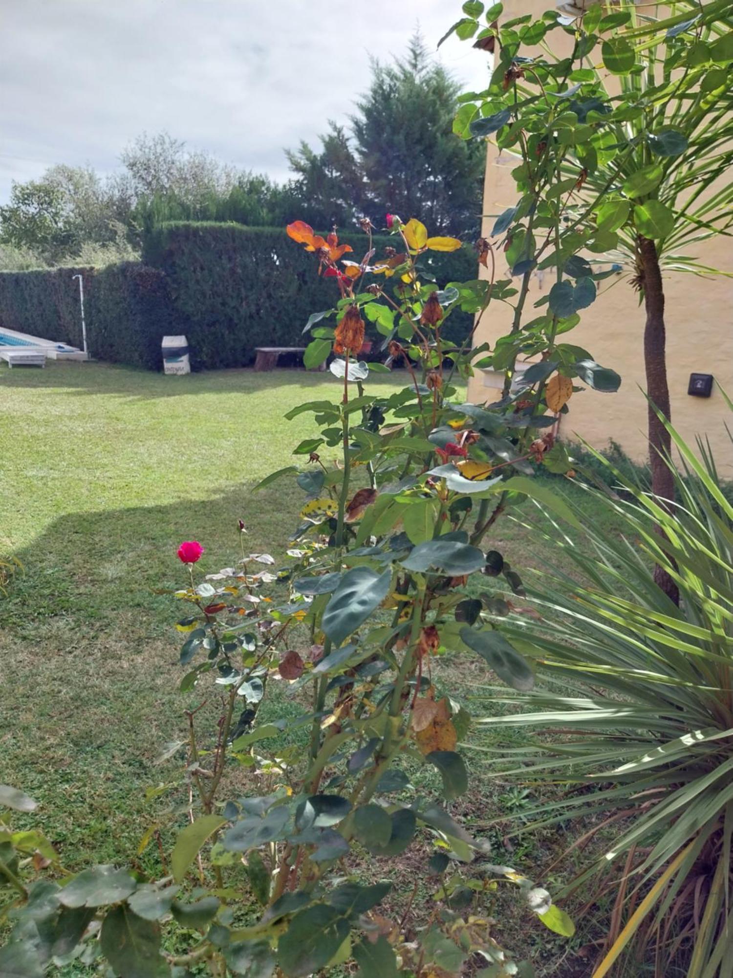 Complejo Cantonavi 诺诺 外观 照片